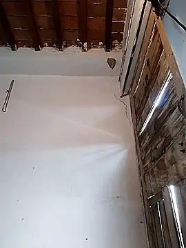 PunjabiSardarBull online show from March 22, 5:00 am