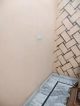 meenu bhabhi547 online show from February 21, 4:13 am