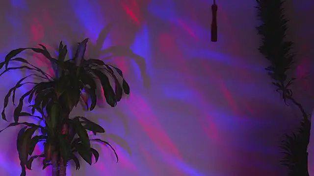 bri von dhara   online show from March 7, 12:18 am