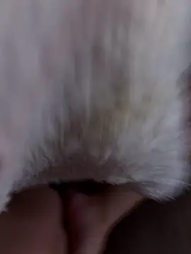 Snapshot of erokami36 chatting on February 5, 6:07 am erokami36 online show from February 5, 6:07 am