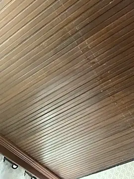 Snapshot of Jasmin_Pink chatting on November 19, 3:12 pm Jasmin Pink online show from November 19, 3:12 pm