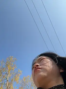 DHJM168 online show from January 15, 3:22 am