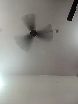 Appypie online show from October 1, 5:24 am