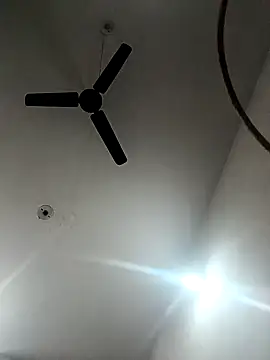 Appypie online show from November 18, 5:45 am