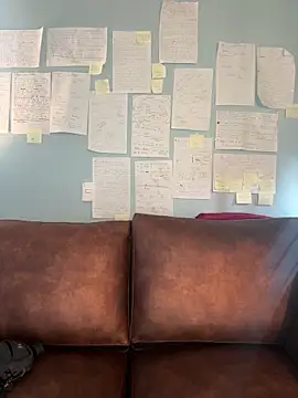 Canneela online show from March 20, 9:08 pm