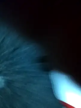 safadomoreno online show from January 16, 5:44 am