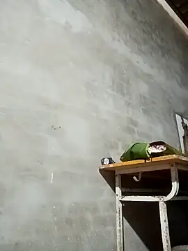 Milan6789 online show from March 13, 12:39 am