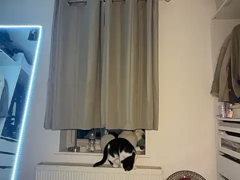 Snapshot of KayleeBella chatting on December 3, 9:24 pm KayleeBella online show from December 3, 9:24 pm