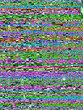 bao-boi online show from September 20, 6:25 am