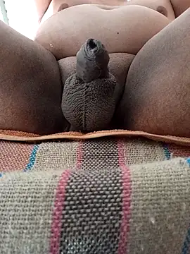 Snapshot of HotsitoTQM chatting on December 17, 3:51 pm HotsitoTQM online show from December 17, 3:51 pm