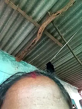 Hot-honi online show from September 13, 10:48 am