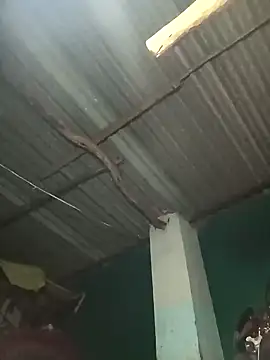 Hot-honi online show from September 19, 1:45 pm