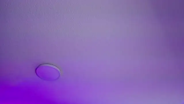  Charlotte Collins  online show from February 21, 3:13 pm