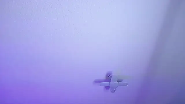  Charlotte Collins  online show from March 30, 3:02 pm