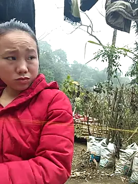 liu-liusexy online show from January 15, 2:05 am