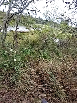 Snapshot of slaveman4you chatting on September 18, 12:40 pm slaveman4you online show from September 18, 12:40 pm