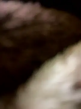 LOVE4GIRL online show from April 12, 4:45 pm