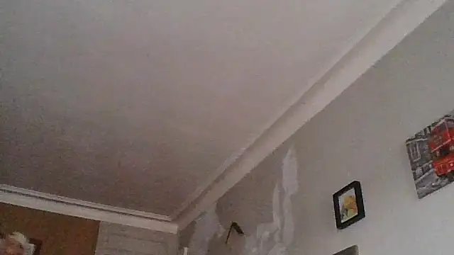Snapshot of Titilouonlyf69 chatting on July 23, 7:01 pm Titilouonlyf69 online show from July 23, 7:01 pm