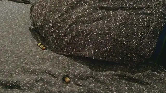 Gmajor online show from April 11, 10:25 pm