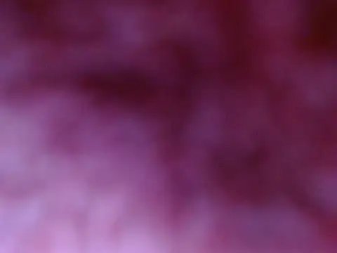 Snapshot of Your_candy_47 chatting on September 17, 1:24 pm Your candy 47 online show from September 17, 1:24 pm