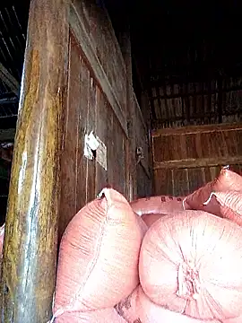 hera-00 online show from September 20, 3:40 am