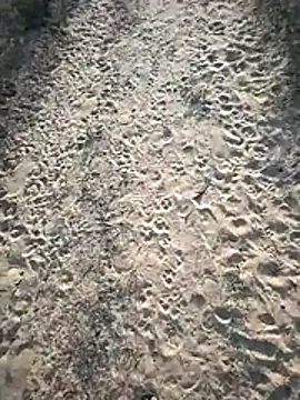 Snapshot of SmartLoda143 chatting on November 19, 11:10 am SmartLoda143 online show from November 19, 11:10 am