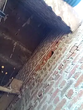 Xx pooja online show from February 8, 9:13 am