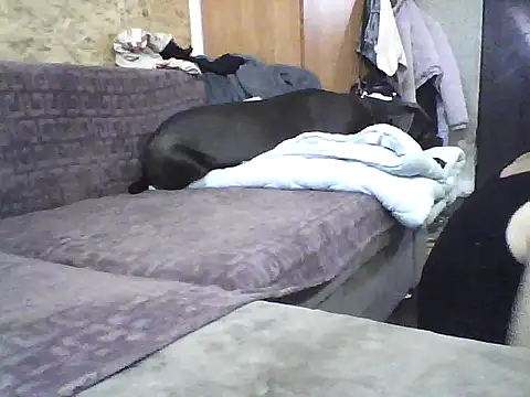 Milana38 online show from October 7, 9:50 am