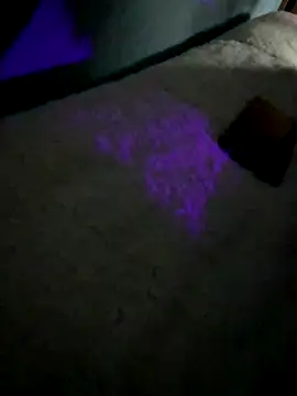 disvla online show from November 22, 5:17 am