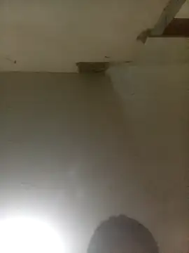 Bebicho14 online show from April 4, 5:49 am