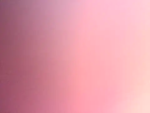 Dropdingo online show from November 13, 11:14 pm