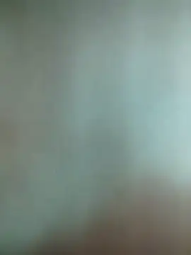 Novin23cms online show from January 16, 12:03 am