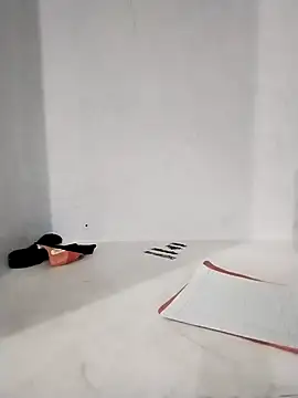 Snapshot of Student_girl2 chatting on October 25, 4:53 am Student girl2 online show from October 25, 4:53 am