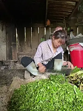 Mai bb online show from November 6, 7:42 am