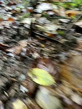 Snapshot of andymatthisbwc chatting on October 5, 3:43 pm andymatthisbwc online show from October 5, 3:43 pm