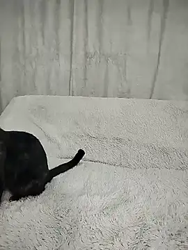 Layla fontainex x online show from September 29, 1:49 pm