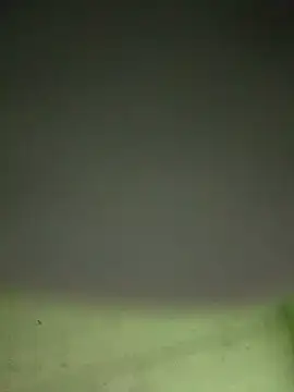 Snapshot of alonsohot1809 chatting on November 10, 7:51 am alonsohot1809 online show from November 10, 7:51 am