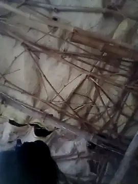 Snapshot of Sapna_cutt chatting on October 14, 12:28 pm Sapna cutt online show from October 14, 12:28 pm