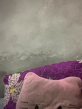 Snapshot of Nh64 chatting on February 8, 12:25 am Nh64 online show from February 8, 12:25 am