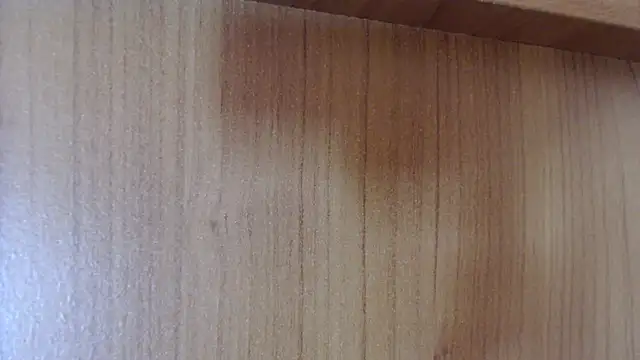 Pamela-StripX online show from December 14, 9:08 pm