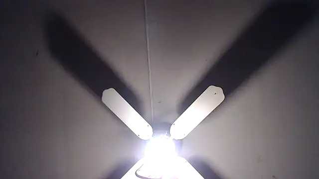 BiglovelyXXL online show from April 13, 8:36 pm