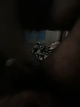 Snapshot of FromVnz chatting on November 21, 12:37 pm FromVnz online show from November 21, 12:37 pm