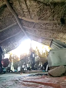 LUCKY cut online show from September 11, 11:21 am