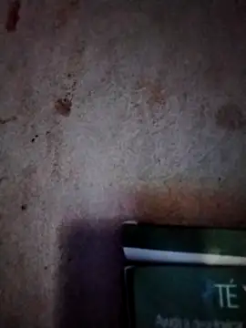  tetas 92 online show from March 7, 1:30 pm