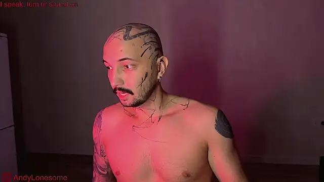 Snapshot of AndyLonesome chatting on September 12, 8:42 pm AndyLonesome online show from September 12, 8:42 pm