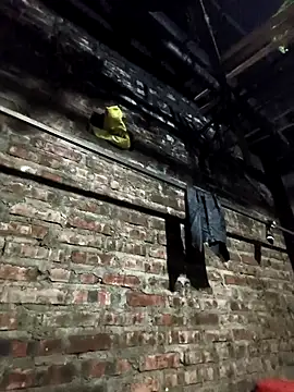 siki-00 online show from January 14, 12:00 pm