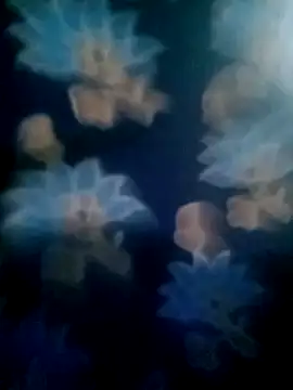 your favourite bhabhi online show from November 2, 1:46 pm