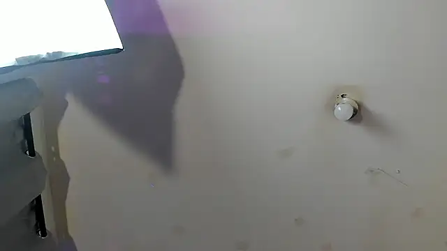 Snapshot of Ambeer_fox_ chatting on February 23, 7:55 pm Ambeer fox online show from February 23, 7:55 pm