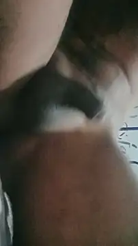 ElRompeponchi online show from September 28, 10:31 am