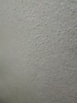 Wild-Nayra online show from October 4, 1:36 am